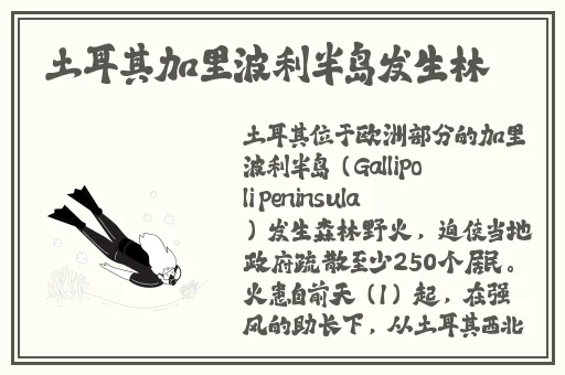 好色先生导航app